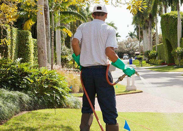About Bloomsdale MO Pest Control